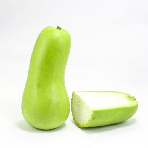 Bottle Gourd