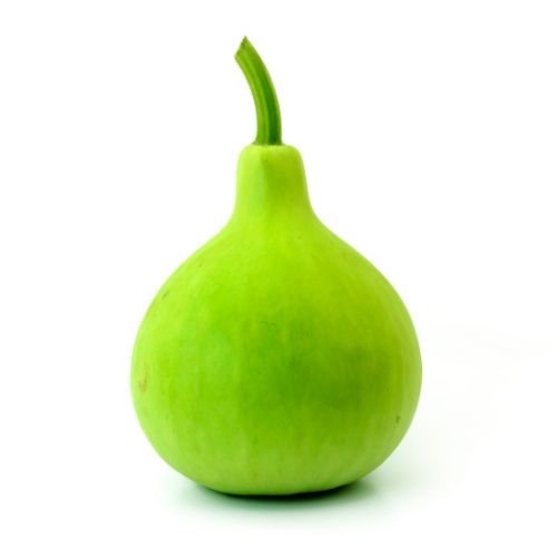 Bottle Gourd (Round)