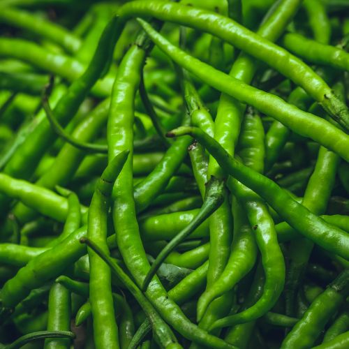 Green Chillies