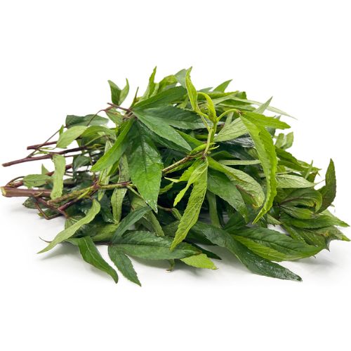 Gongura
