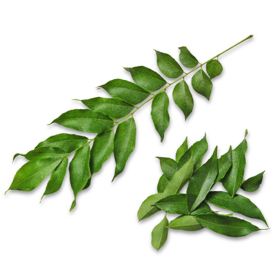 Curry Leaves