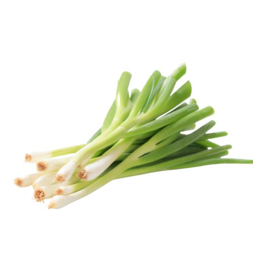 Spring Onion