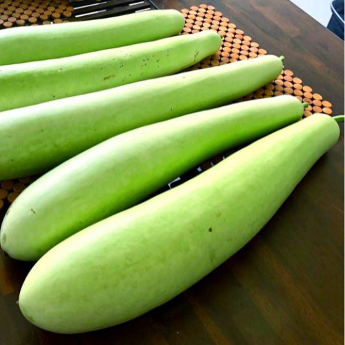 Bottle Gourd